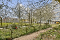 Bos en Lommerplantsoen 27-B-16.jpg
