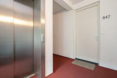 06.jpg