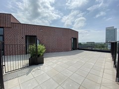 IMG_5505.JPG