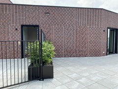 IMG_5507.JPG