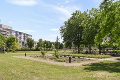 Bos en Lommerplantsoen 5 - 15.jpg