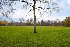 Oosterpark 39C-06.jpg