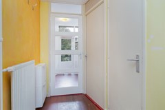 06.jpg