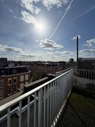 IMG_1210.jpeg
