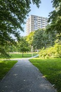 Huur: Theodoor van Hoytemastraat 51, 1062 CG Amsterdam