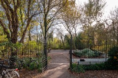 For sale: Frederiksstraat 37-3, 1054 LB Amsterdam