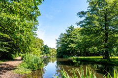 For sale: Frederiksstraat 37-3, 1054 LB Amsterdam