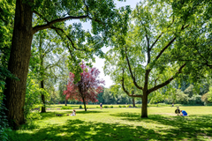 For sale: Frederiksstraat 37-3, 1054 LB Amsterdam