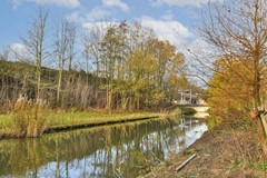 Maassluisstraat 96 - 35.jpg