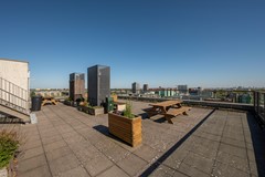 Teakhout 40A, Zaandam-9.jpg