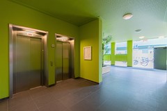 For rent: Hermitage 131, 1506 TX Zaandam