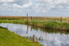 Huur: Lisstraat 18, 1121 AP Landsmeer