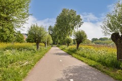 Liendenhof 40 - 23.jpg