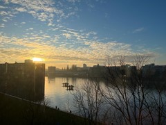 Verhuurd:Bogortuin, 1019 PG Amsterdam - Foto