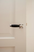 Rented: Linnaeusparkweg, 1098 EJ Amsterdam