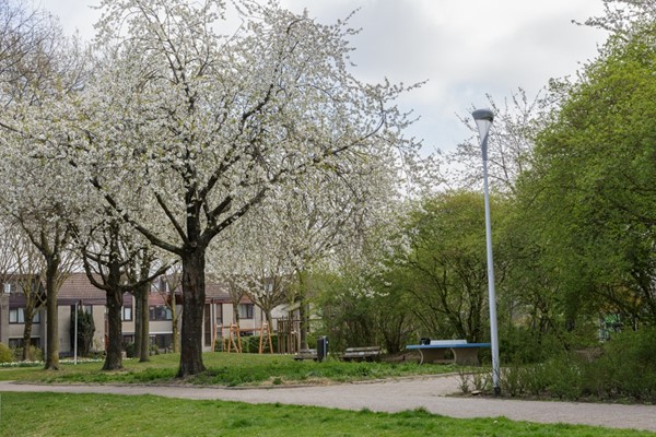 Medium property photo - Meercamp 51, 3992 RH Houten