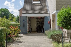 _MG_2437.jpg