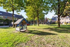 foto-5.jpg