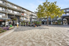 foto-62.jpg