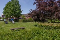 _MG_2967.jpg