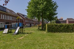 _MG_2973.jpg