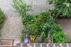 _MG_3066.jpg