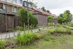 _MG_3059 bewerkt.jpg