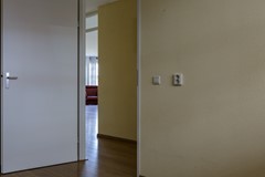 _MG_3304.jpg