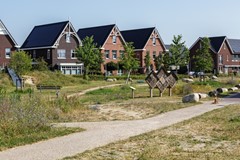 _MG_3221.jpg