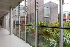 _MG_3515.jpg