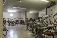 _MG_3432.jpg