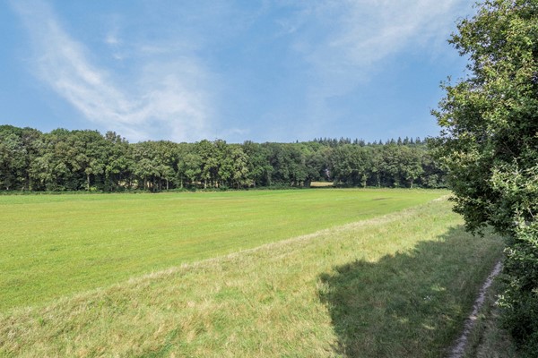 Medium property photo - De Toltoren 29, 3912 AG Rhenen