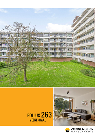 Brochure preview - Pollux 263, 3902 TH VEENENDAAL (1)