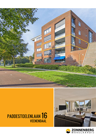 Brochure preview - Brochure uitgebreid - Paddestoelenlaan 16 - Veenendaal (1).pdf