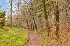 NieuweVeenendaalseweg22995Rhenen29.jpg