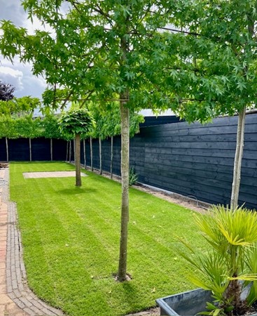 Medium property photo - Groeneweg 15, 3911 PD Rhenen