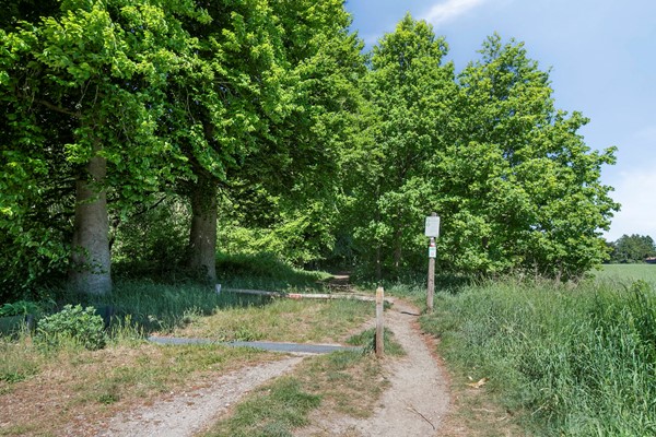 Medium property photo - De Oude Weg 29, 3922 GB Elst
