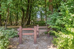 Fokkeschoot23904PWVeenendaal-47.jpg