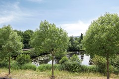 Paddestoelenlaan653903GEVeenendaal-32.jpg