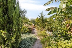 LingeSingel284033KBLiendenNL-41.jpg