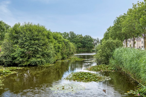 Medium property photo - Parklaan 26, 3903 GL Veenendaal