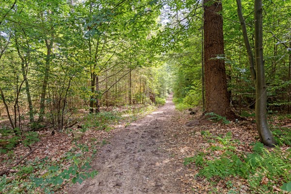 Medium property photo - Nieuwe Veenendaalseweg 229-73, 3911 MJ Rhenen