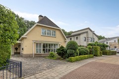 Bilzekruid113903GNVeenendaal-01.jpg