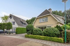 Bilzekruid113903GNVeenendaal-02.jpg