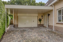 Bilzekruid113903GNVeenendaal-04.jpg