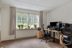Bilzekruid113903GNVeenendaal-28.jpg