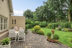 Bilzekruid113903GNVeenendaal-43.jpg