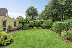 Bilzekruid113903GNVeenendaal-49.jpg