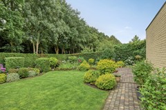Bilzekruid113903GNVeenendaal-44.jpg
