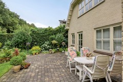 Bilzekruid113903GNVeenendaal-50.jpg